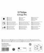 Mega-Pack Einfache späte Tulpen Cottage Mix