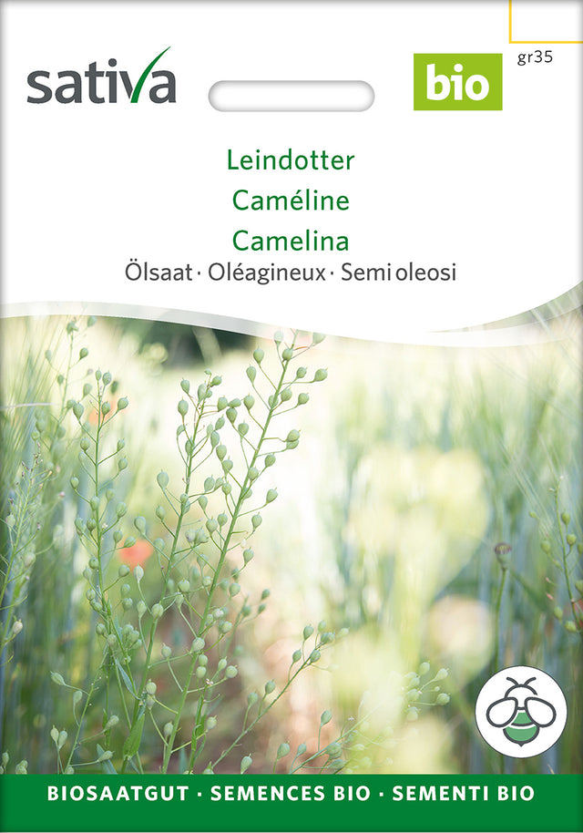 Sativa Ölsaat Leindotter