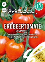 N.L. Chrestensen Erdbeertomate Gardenberry F1