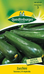 Quedlinburger Zucchini Tristan