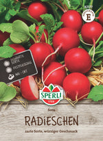 SPERLI Radieschen Sora