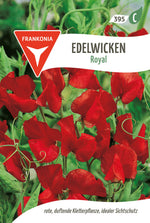 Frankonia Samen Wicken Royal