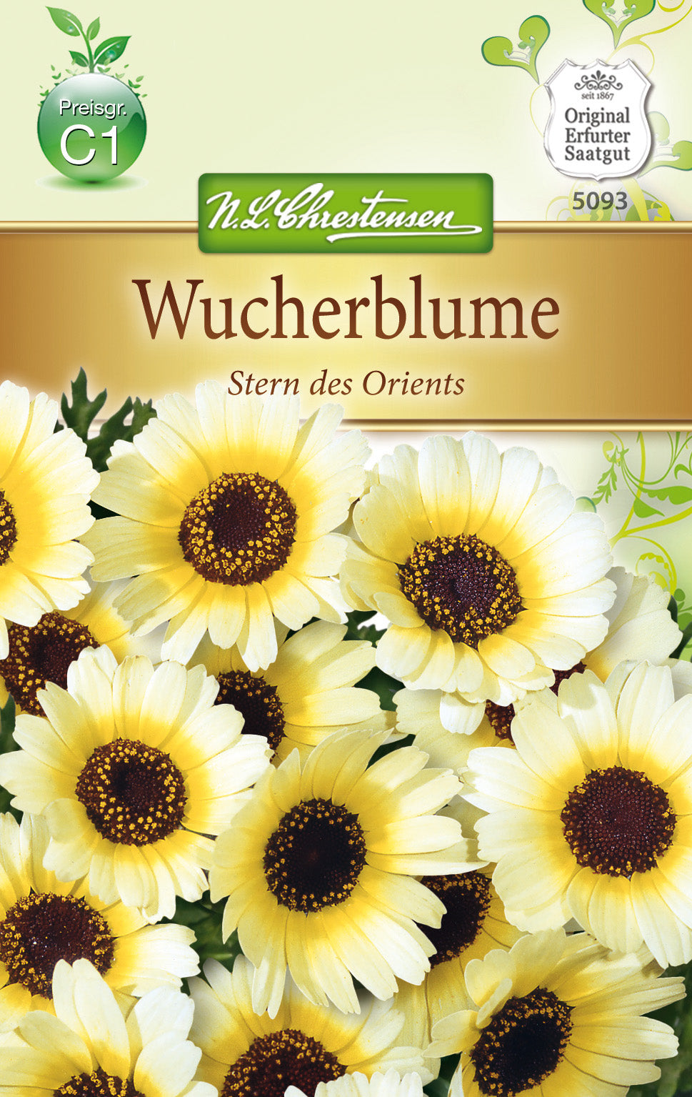N.L. Chrestensen Wucherblume Stern des Orients