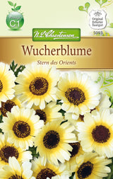 N.L. Chrestensen Wucherblume Stern des Orients