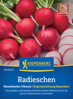 Kiepenkerl Radieschen Riesenbutter/Vitessa
