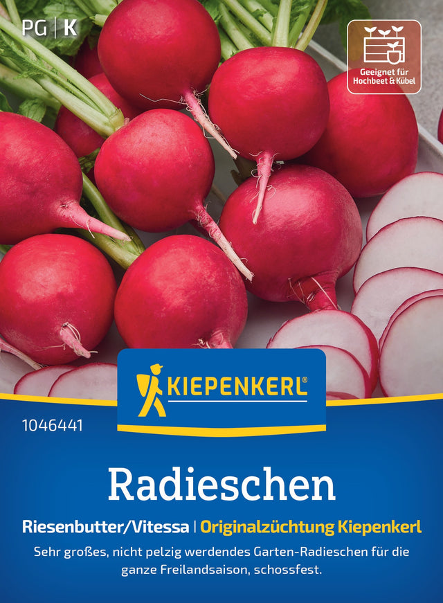 Kiepenkerl Radieschen Riesenbutter/Vitessa