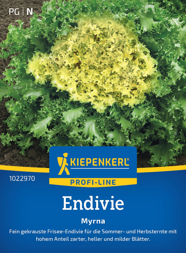 Kiepenkerl Endiviensalat Myrna
