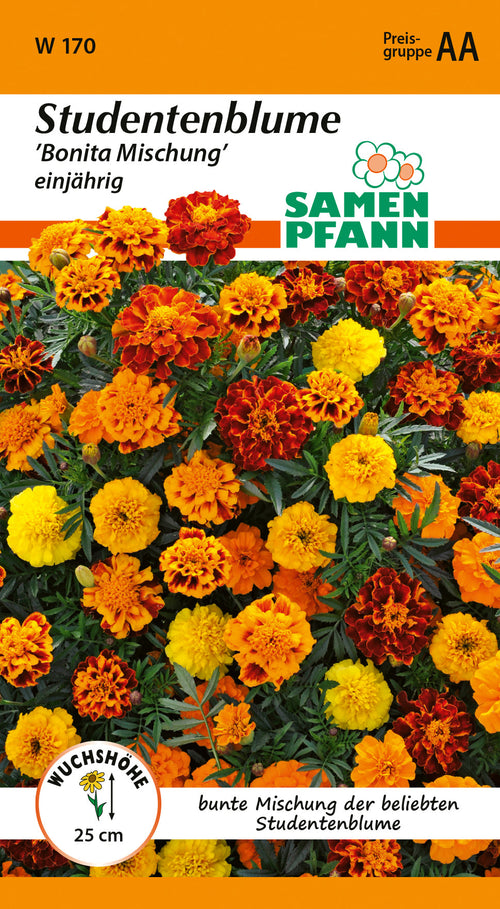 Samen Pfann Studentenblume Bonita Mischung einjährig