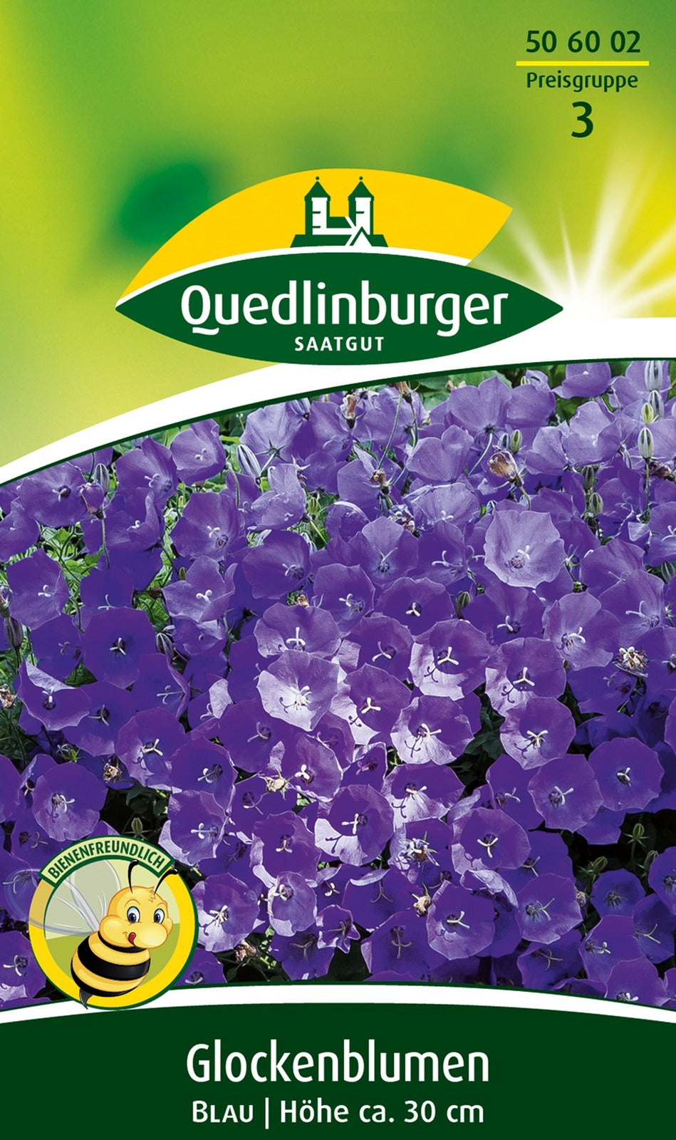 Quedlinburger Polsterglockenblume blau