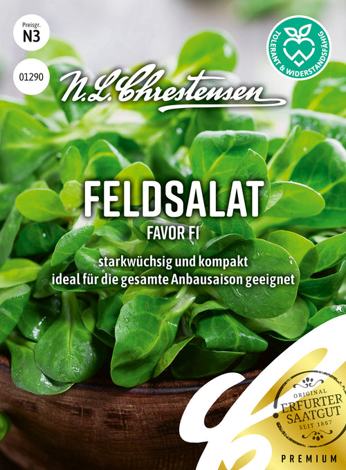 N.L. Chrestensen Feldsalat AV Favor F1