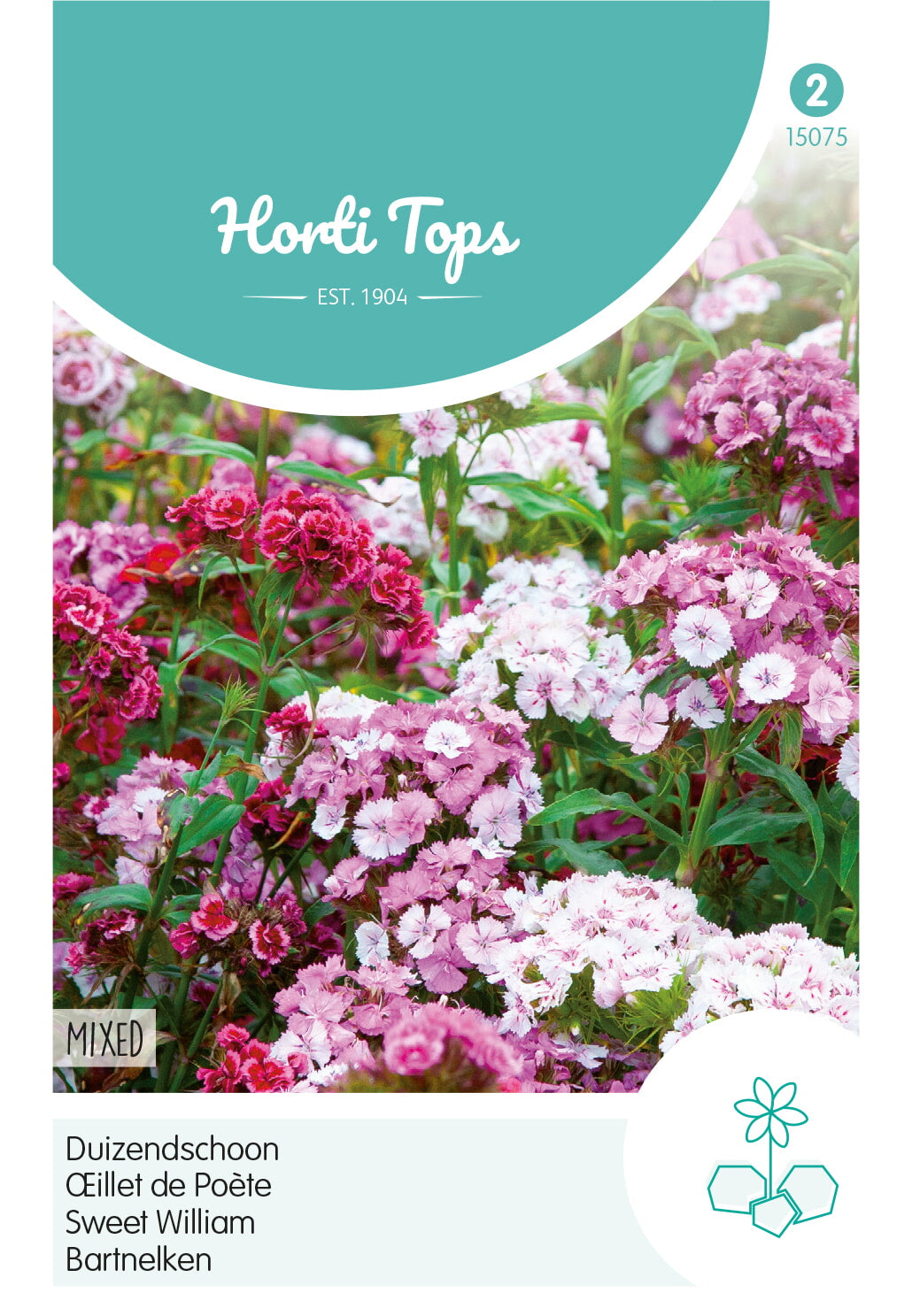 Horti Tops Bartnelke Niedrige Gefüllte Mischung