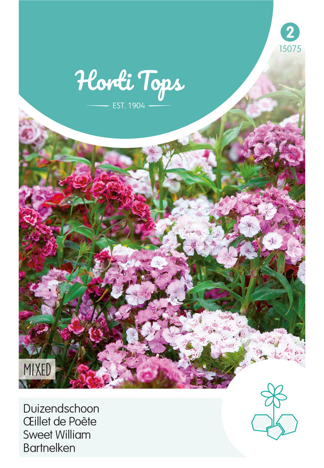 Horti Tops Bartnelke Niedrige Gefüllte Mischung