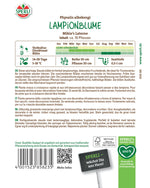 SPERLI Lampionblume Mikie's Laterne