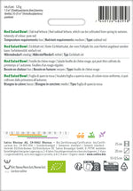 Sativa Eichblatt rot Red Salad Bowl
