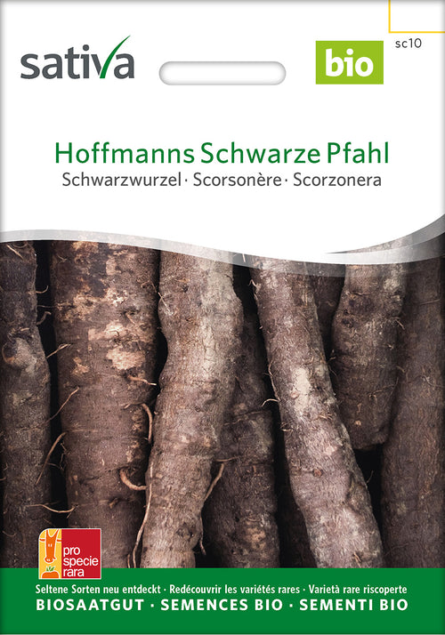 Sativa Schwarzwurzel Hoffmanns Schwarze Pfahl
