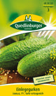 Quedlinburger Freiland-Einlegegurke Libelle