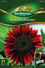 Quedlinburger Sonnenblume Claret