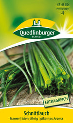 Quedlinburger Schnittlauch Naomy