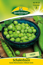 Quedlinburger Schalerbse Kleine Rheinländerin