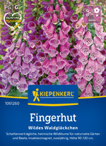Kiepenkerl Fingerhut Wildes Waldglöckchen