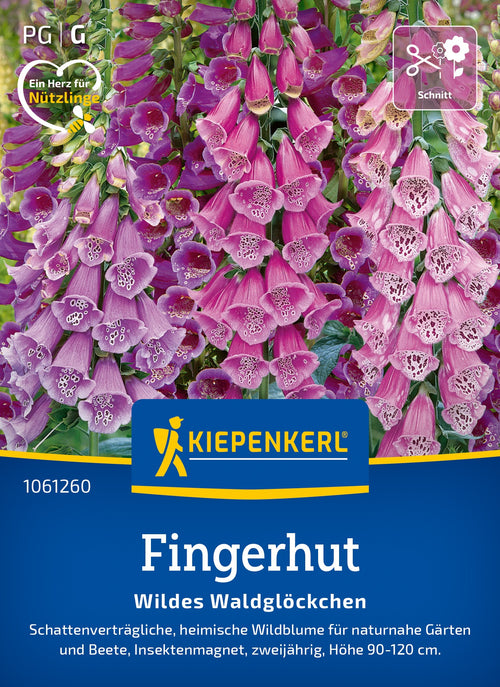 Kiepenkerl Fingerhut Wildes Waldglöckchen