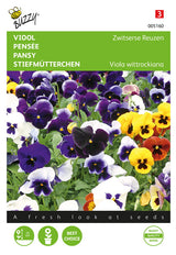 Buzzy Seeds Stiefmütterchen Schweizer Riesen Mischung