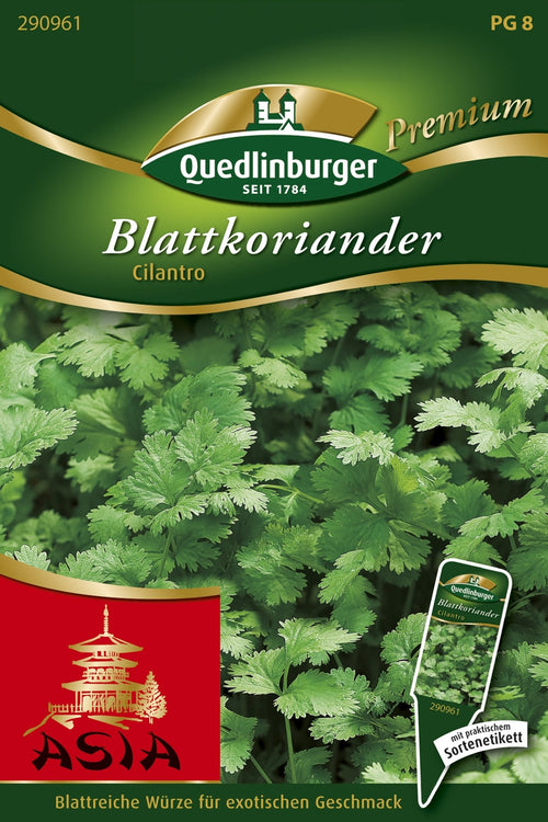 Quedlinburger Blattkoriander Cilantro