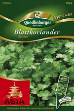 Quedlinburger Blattkoriander Cilantro