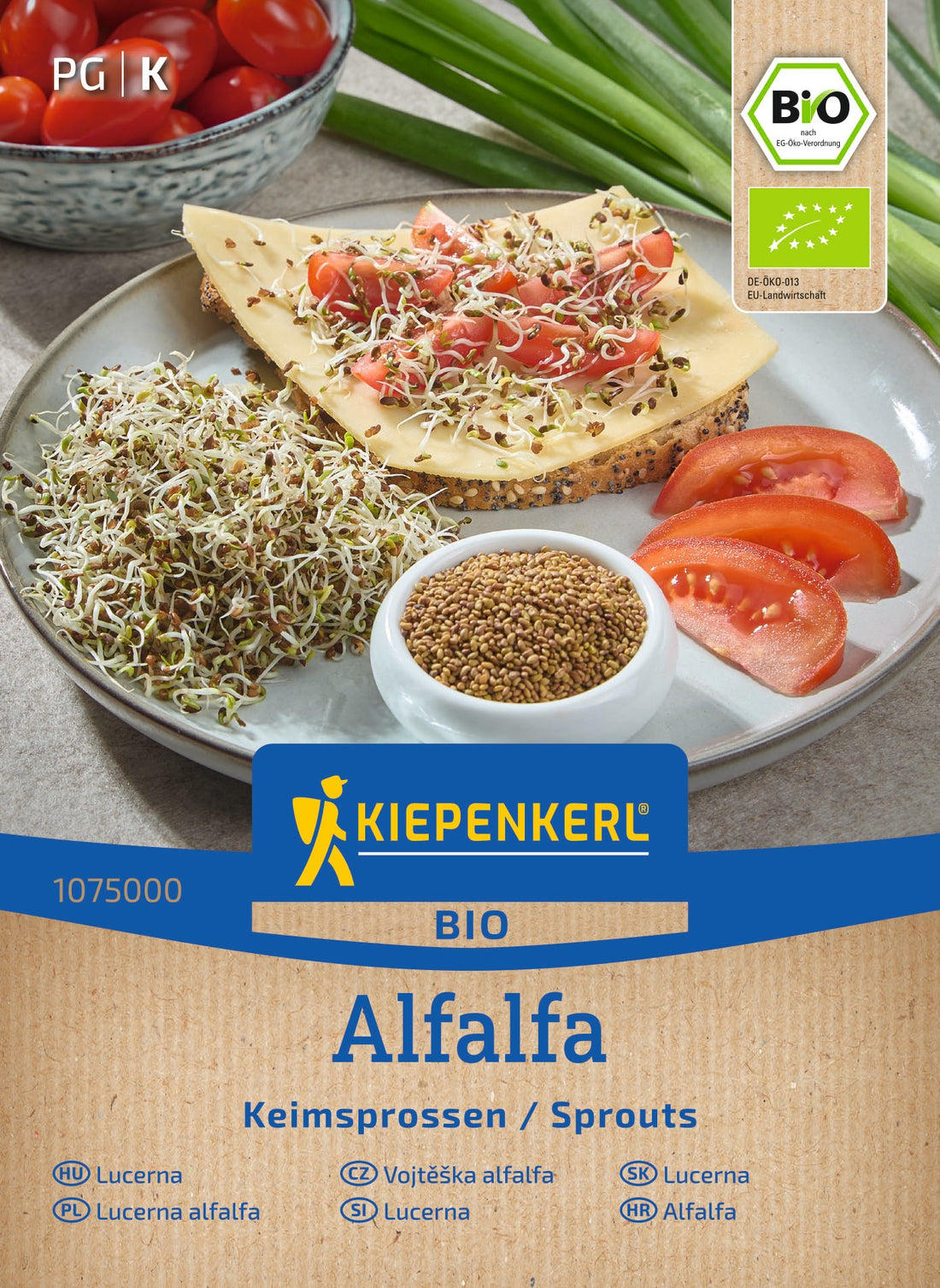 Lilien-Hybride Friso