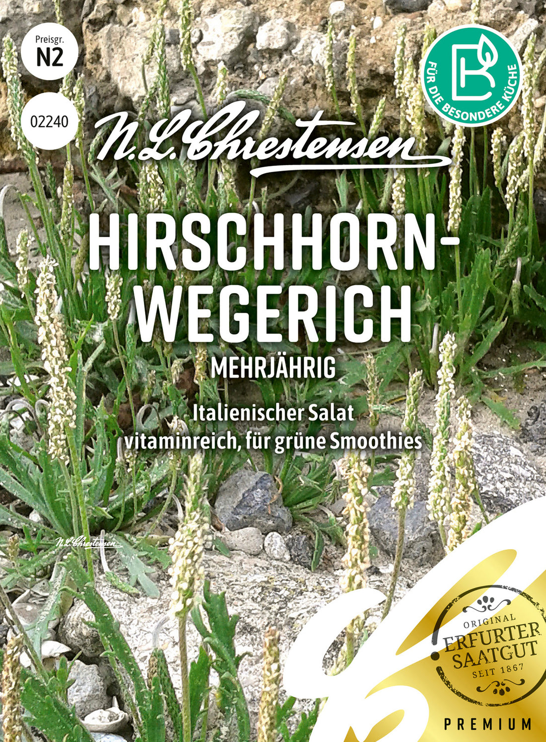 N.L. Chrestensen Hirschhornwegerich mehrjährig
