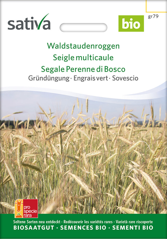 Sativa BIO Gründüngung Waldstaudenroggen