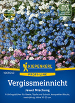 Kiepenkerl Vergissmeinnicht Jewel Mischung