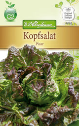 N.L. Chrestensen Kopfsalat Pirat