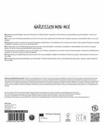 Maxi Narzissen Botanischer Mix