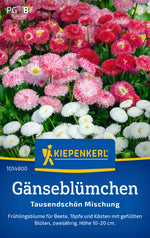 Kiepenkerl Gänseblümchen Tausendschön Mischung