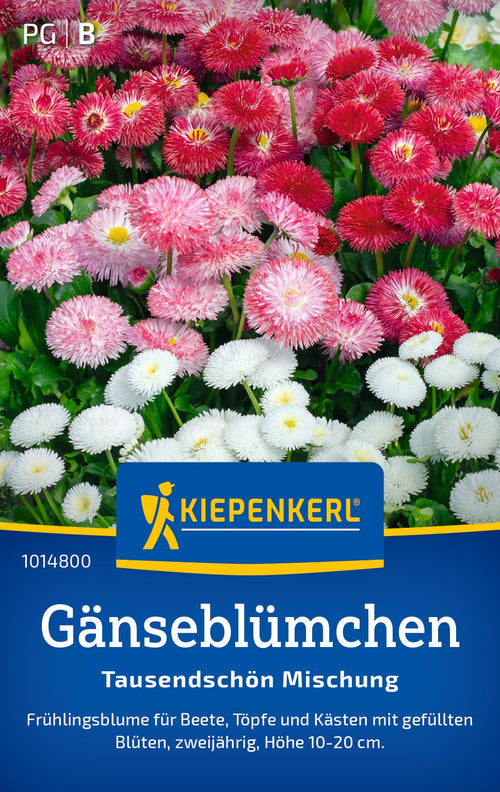 Kiepenkerl Gänseblümchen Tausendschön Mischung