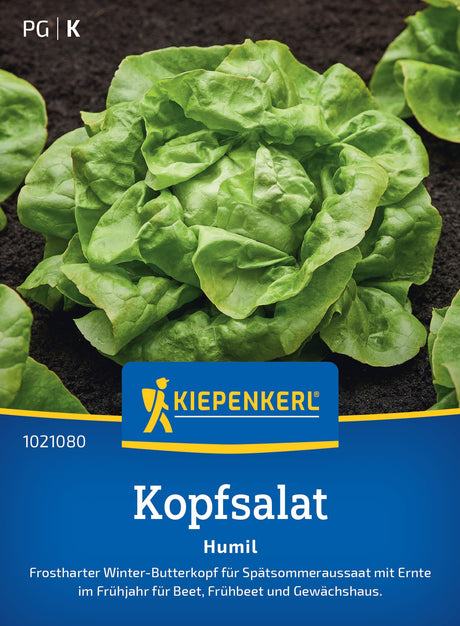 Kiepenkerl Kopfsalat Humil
