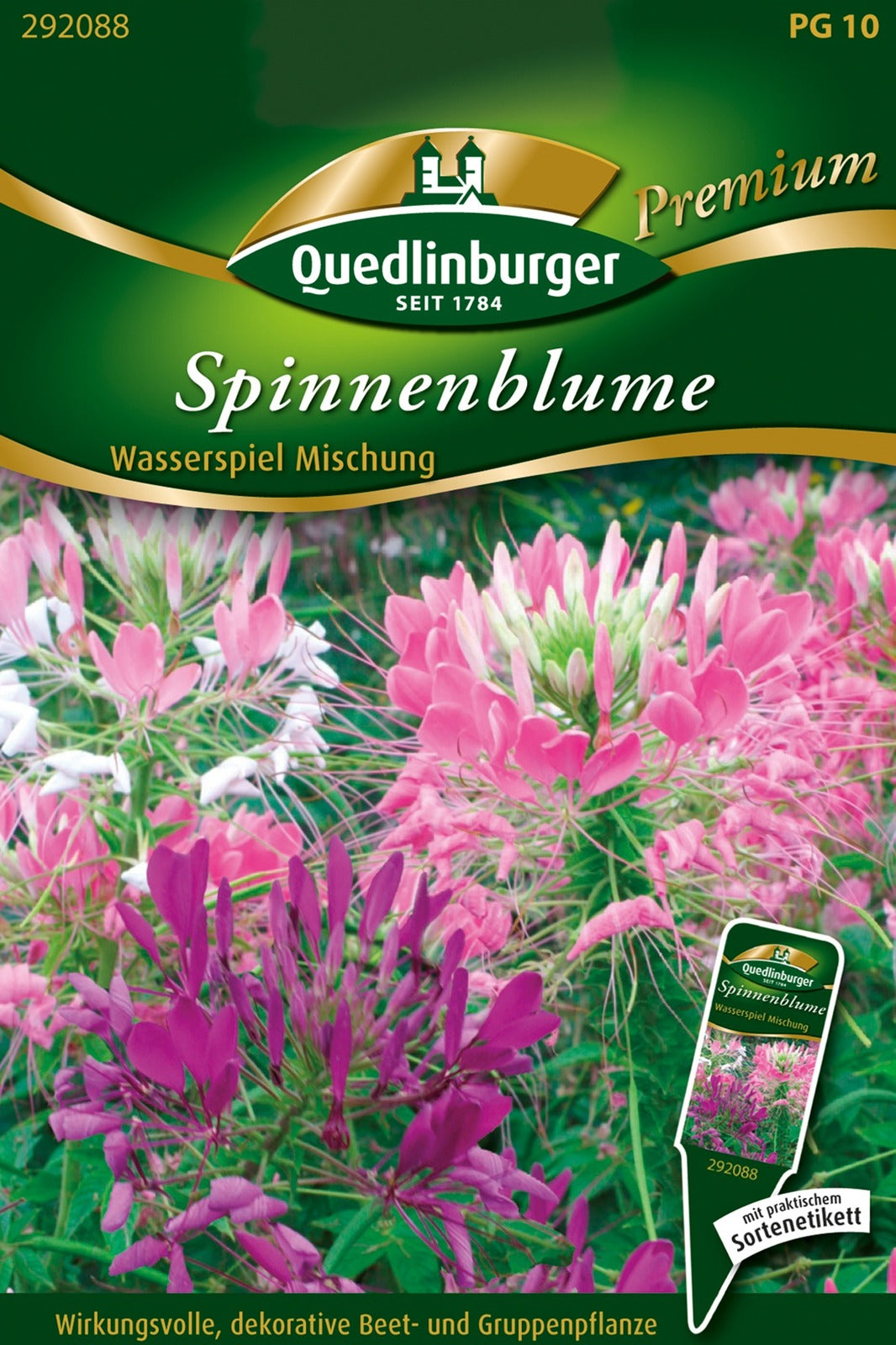 Quedlinburger Spinnenblume  Wasserspiel Mischung