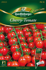 Quedlinburger Cherrytomate Tombolino