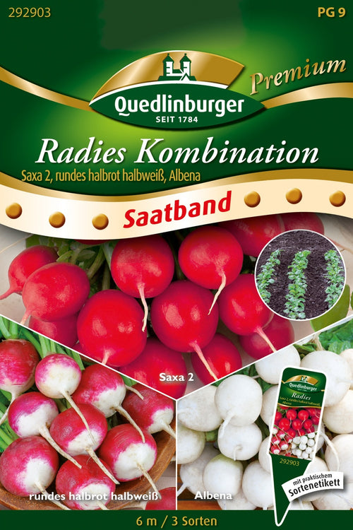 Quedlinburger Radieschen Saxa 2, Albena , rundes halbrot-halbweiß Saatband