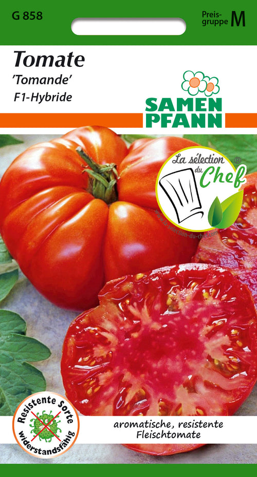 Samen Pfann Tomate Tomande