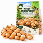 HILD Wintersteckzwiebel Shakespeare® 750 Gramm