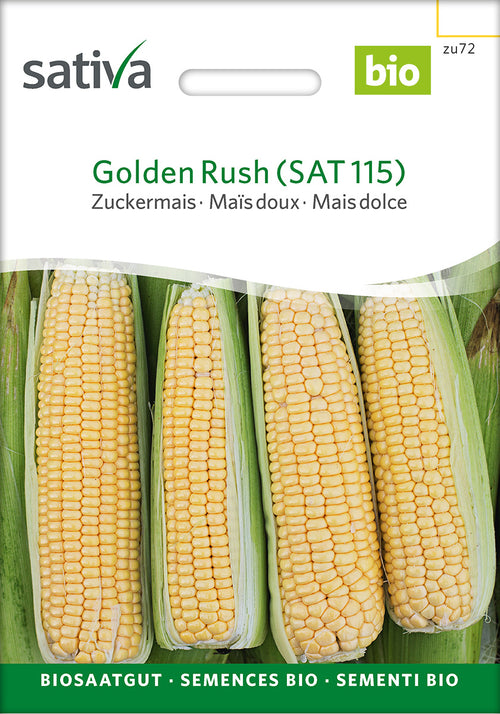 Sativa Zuckermais Golden Rush (SAT 115)
