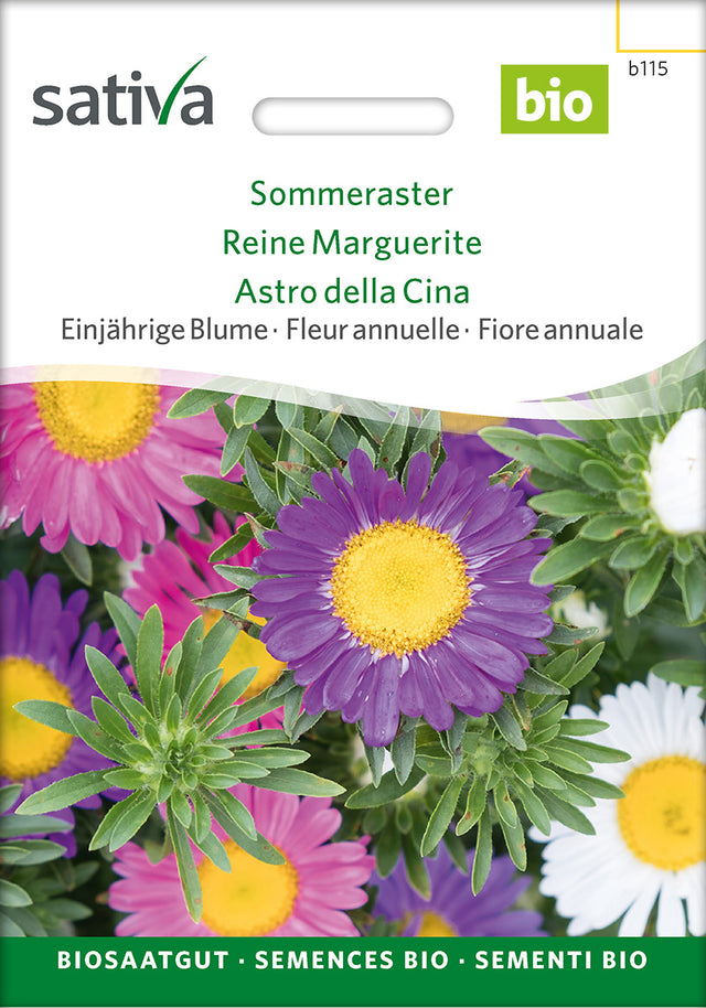 Sativa Sommeraster Einjährige Blume