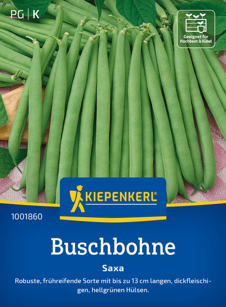 Kiepenkerl Buschbohnen Saxa