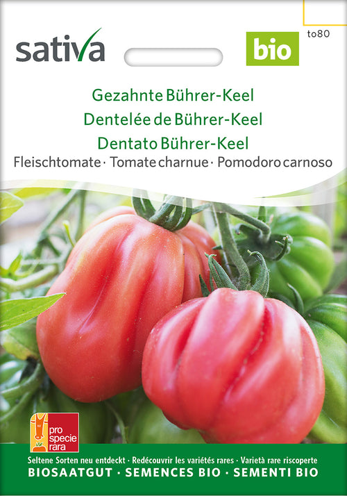 Sativa Fleischtomate Gezahnte Bührer-Keel