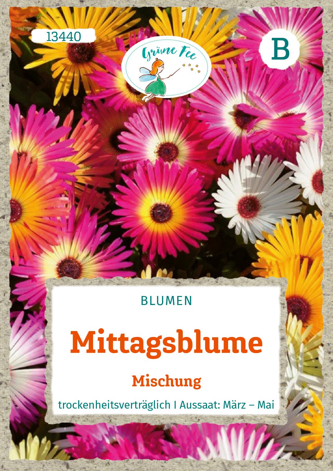 Grüne Fee Mittagsblume Mischung