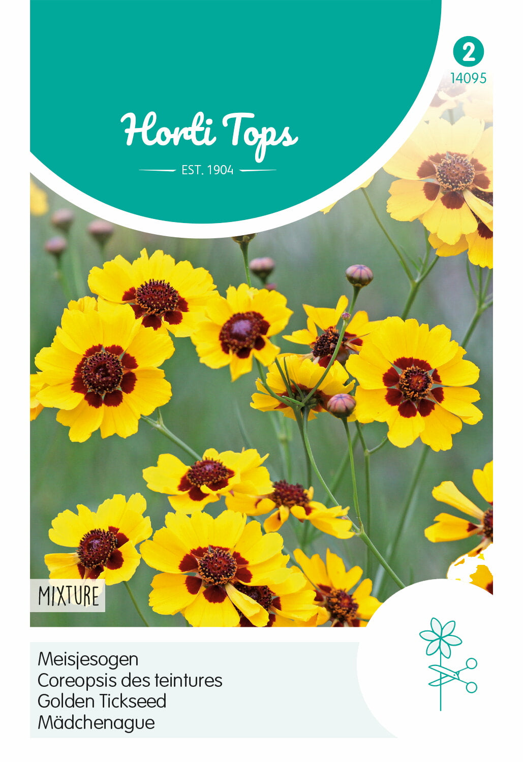 Horti Tops Mädchenauge Halbhoch gemischt