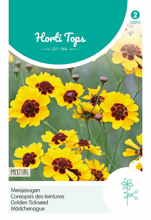 Horti Tops Mädchenauge Halbhoch gemischt