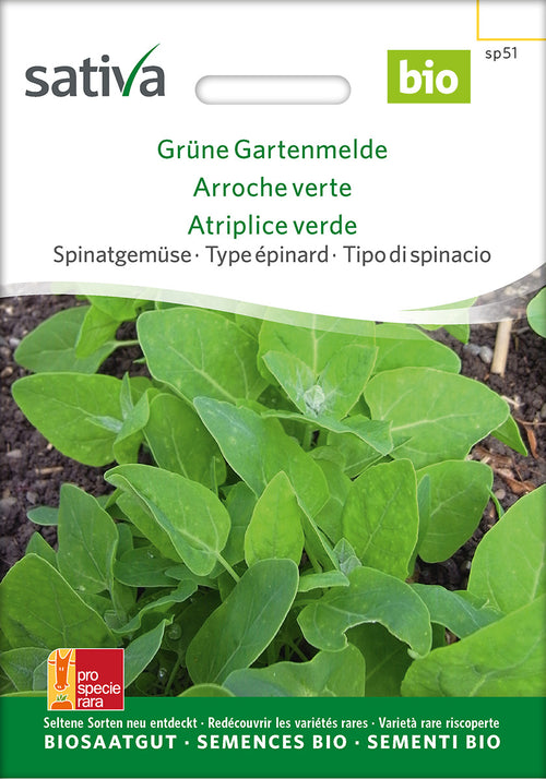 Sativa Spinatgemüse Grüne Gartenmelde